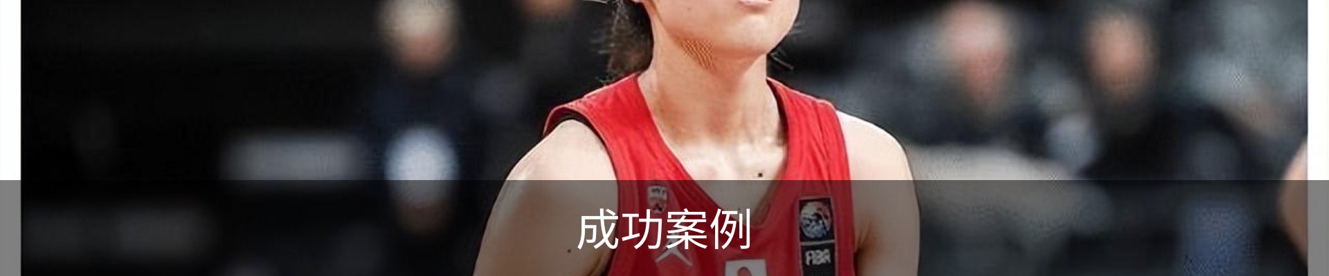成功案例